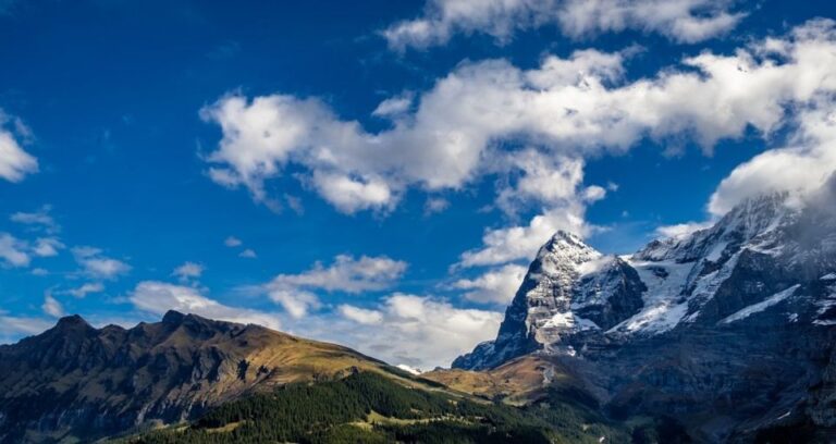 From Geneva: Paragliding And Interlaken Trip Included In The Tour