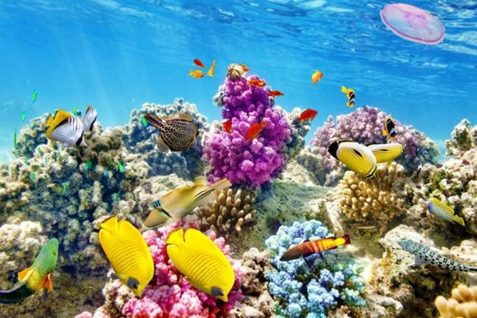 From Hurghada: Paradise Island Full-Day Snorkeling Tour
