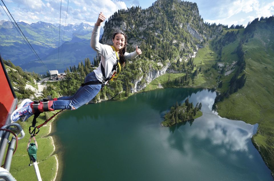 From Interlaken: Stockhorn Bungee Jump - Overview of Bungee Jump