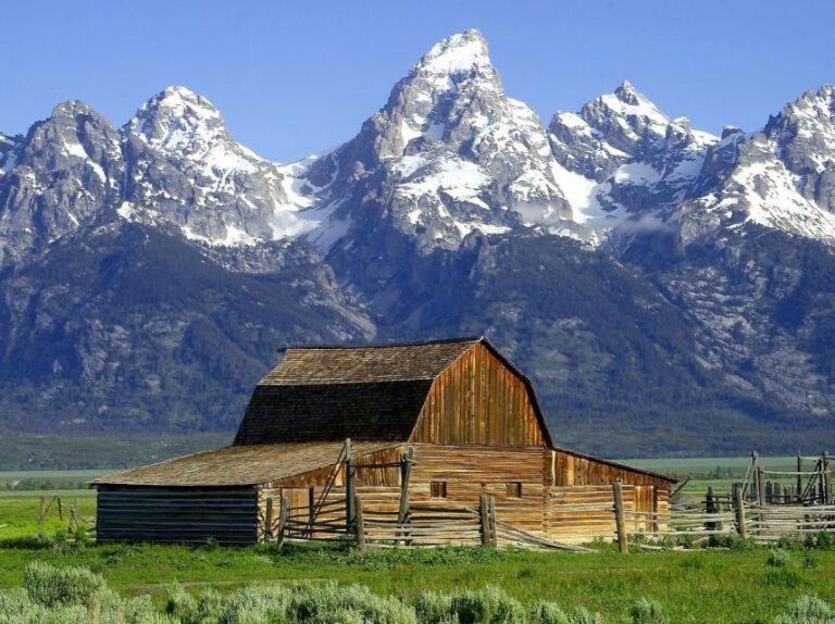 From Jackson: Half Day Grand Teton National Park Tour Tour Overview