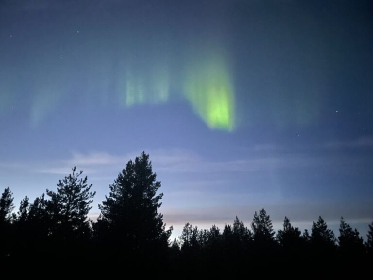 From Kiruna: Abisko National Park Northern Lights Tour Tour Description