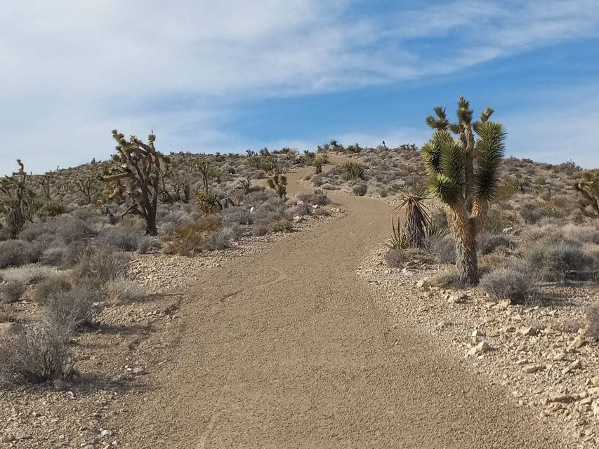 From Las Vegas: ATV Off-Road Adventure With Transfer Shuttle - Overview of the Adventure