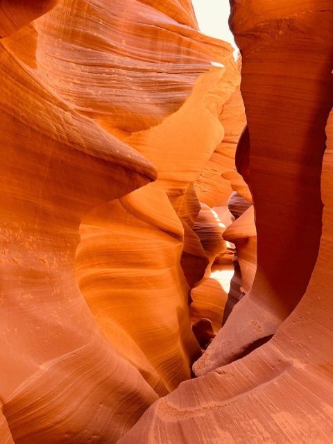 From Las Vegas: Lower Antelope Canyon & Horseshoe Bend Tour Discover The Sandstone Corridors