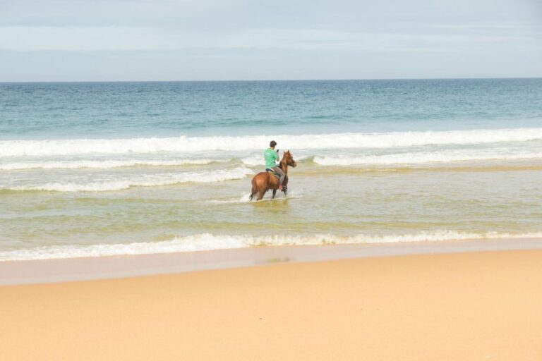 From Lisbon: Horseback Riding On Comporta Beach Activity Overview