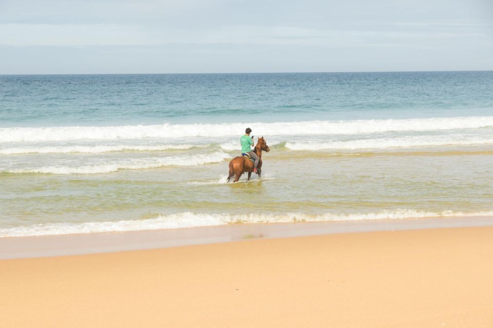 From Lisbon: Horseback Riding on Comporta Beach - Activity Overview