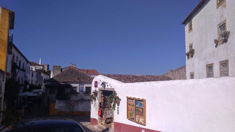 From Lisbon: Private Óbidos And Nazaré Tour Tour Overview