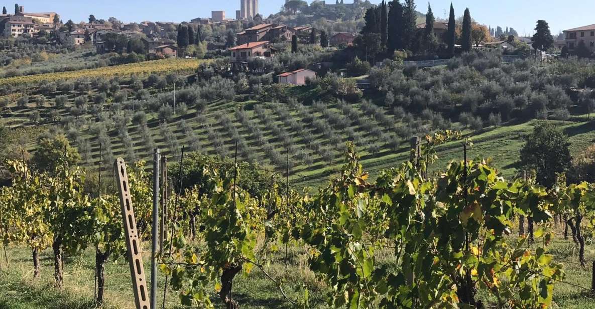 From Livorno: Shore Excursion to Chianti and San Gimignano - Tour Overview