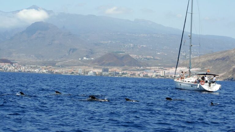 From Los Gigantes: Whale Watching Sailboat Cruise Activity Overview