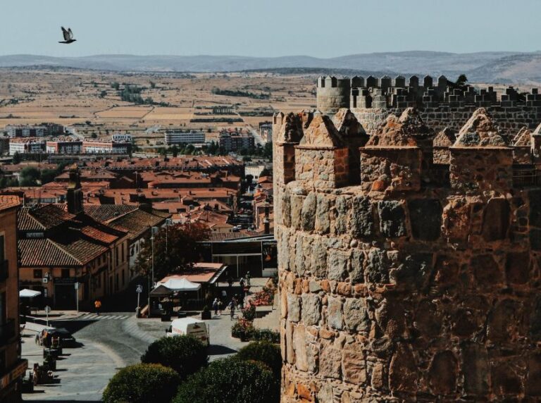 From Madrid: Avila Private Tour