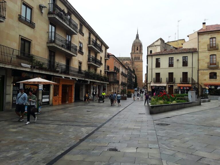 From Madrid: Day Trip to Salamanca With Private Tour