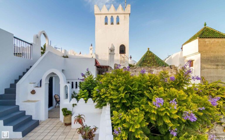 From Malaga Or Tarifa: Private Tangier Day Tour Tour Overview