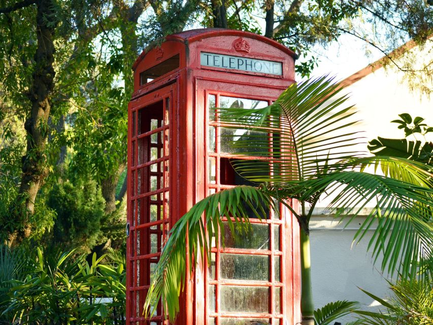 From Malaga: Rock of Gibraltar Private Skip-the-Line Tour - Explore Gibraltar Nature Reserve