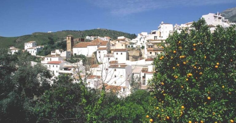 From Marbella: Axarquia Wine Tour With Wine Pairing Lunch Small Group Tour Details