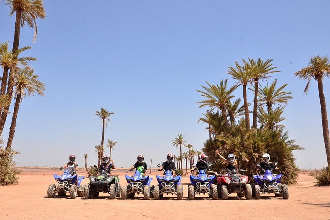 From Marrakech: Palm Grove Quad Bike and Camel Ride Tour