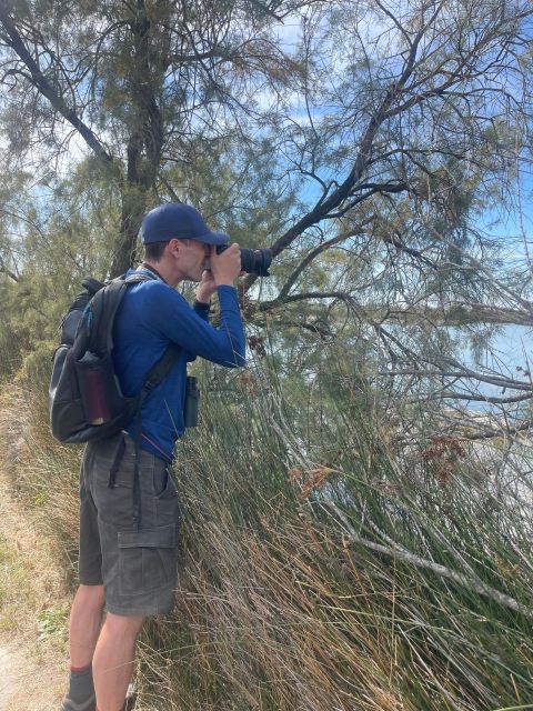 From Montpellier: Camargue and Salt Marshes Guided Tour - Tour Details