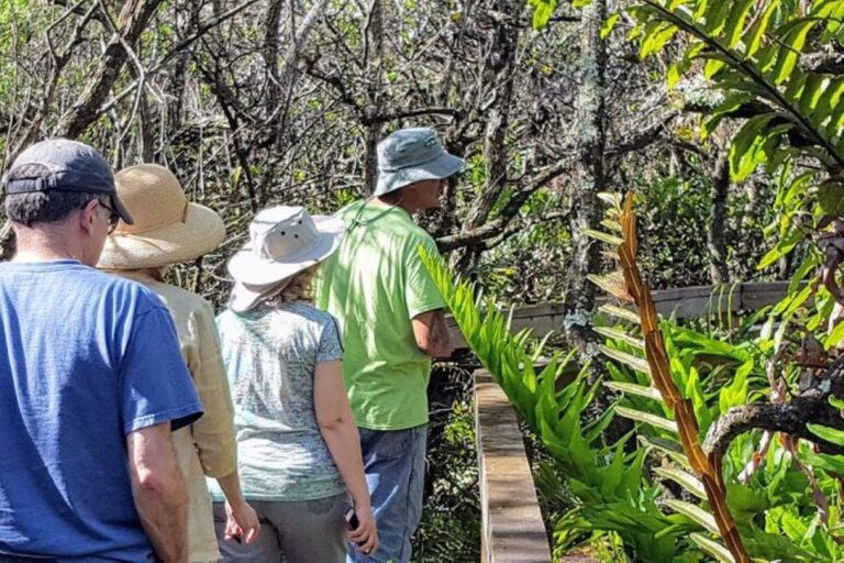 From Naples: 10,000 Islands Boat Trip And Everglades Walk Diverse Bird Species Sightings