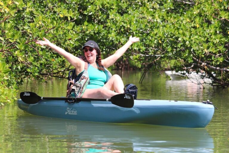 From Naples, Fl: Marco Island Mangroves Kayak Or Paddle Tour Pricing And Booking Details