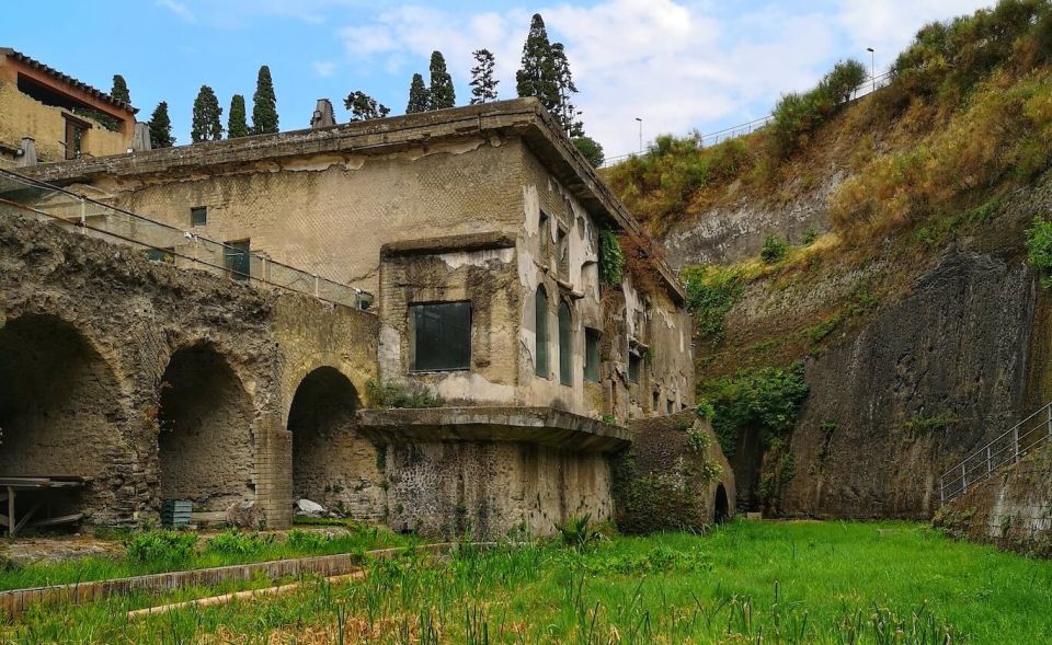 From Naples: Pompeii and Herculaneum Half-Day Private Trip - Overview of the Tour