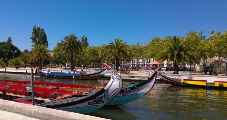 From Porto: Aveiro & Coimbra Private Day Tour & Boat Cruise Tour Details