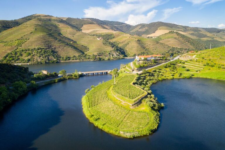 From Porto: Full Day Douro Valley Trip And Port Wine Tasting Tour Overview And Pricing