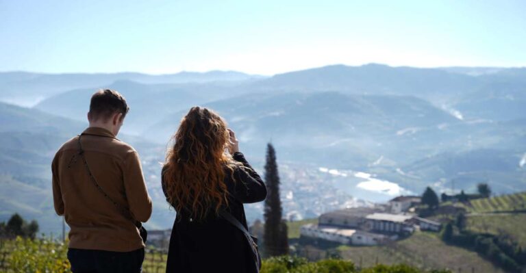 From Porto: Premium Douro Valley Small Group Wine Tour Tour Overview