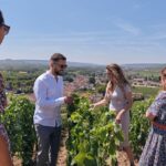 From Reims: Full Day Champagne Mumm, Family Growers & Lunch Tour Overview