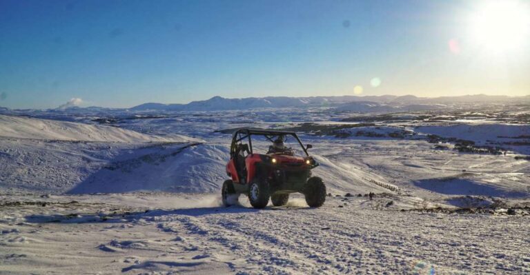 From Reykjavik: Buggy & Whale Watching Adventure Tour Overview