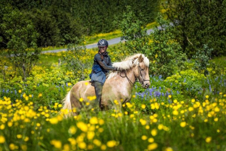 From Reykjavik: Full Day Horse Riding & Golden Circle Tour Tour Overview