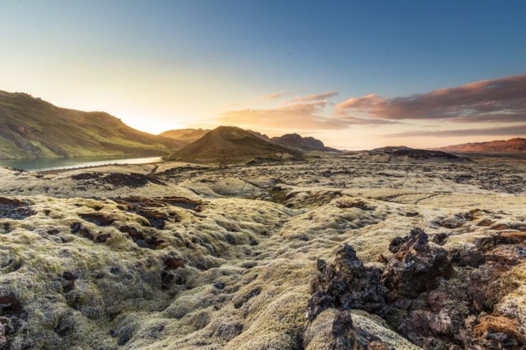 From Reykjavik: Icelandic Horse Riding Tour In Lava Fields Tour Details