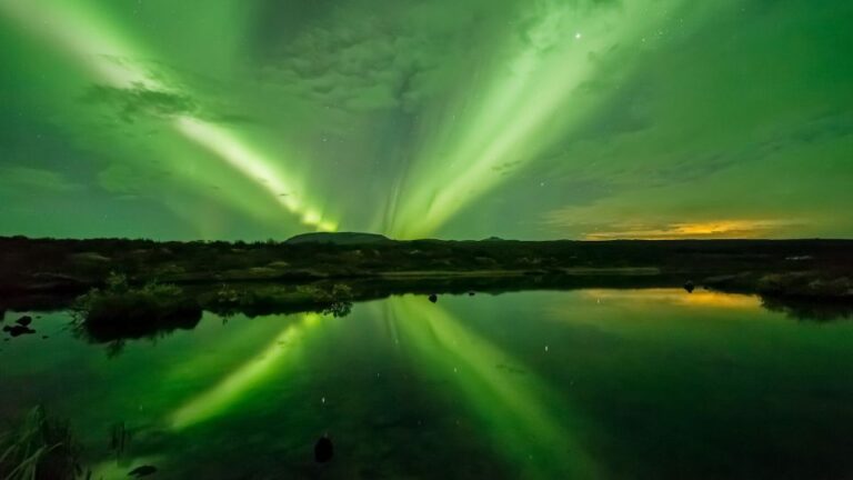 From Reykjavik: Northern Lights Boat Cruise Tour Overview