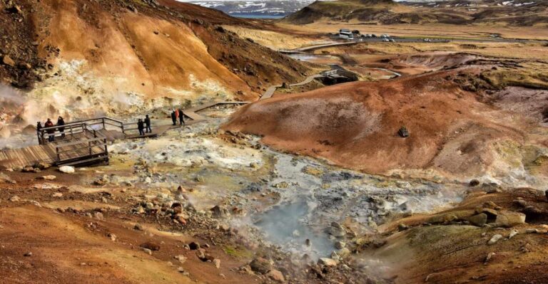 From Reykjavik: Reykjanes Geopark Small Group Tour Tour Overview