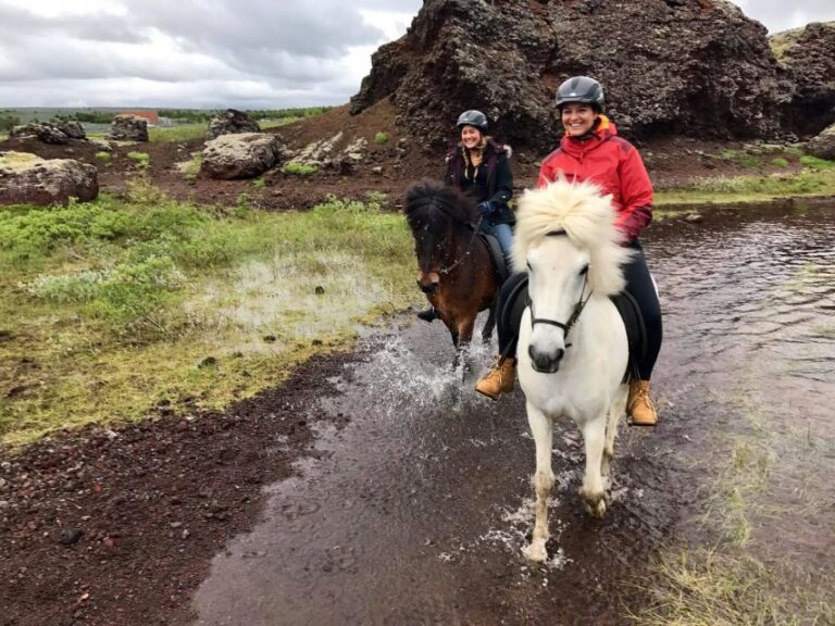 From Reykjavik: Small Group Horse Riding Tour With Pickup Tour Details