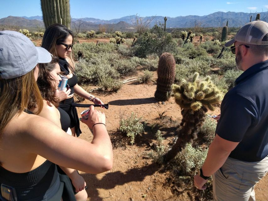 From Scottsdale: Sonoran Desert & Tonto National Forest Trip - Tour Overview