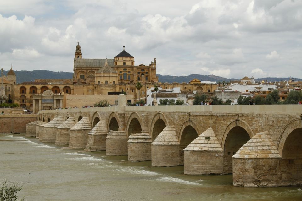 From Seville: Full-Day Cordoba Private Tour - Overview of the Tour