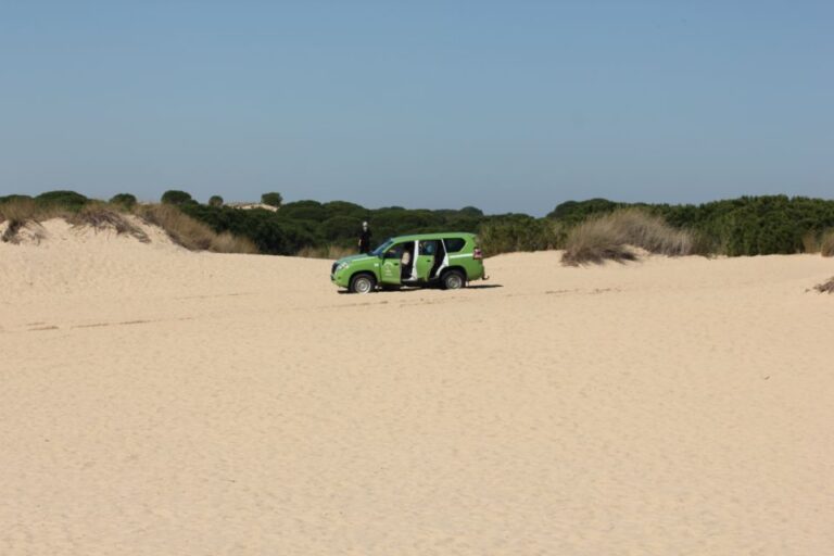 From Seville: Private Tour Doñana Park, El Rocio & Beach Tour Details