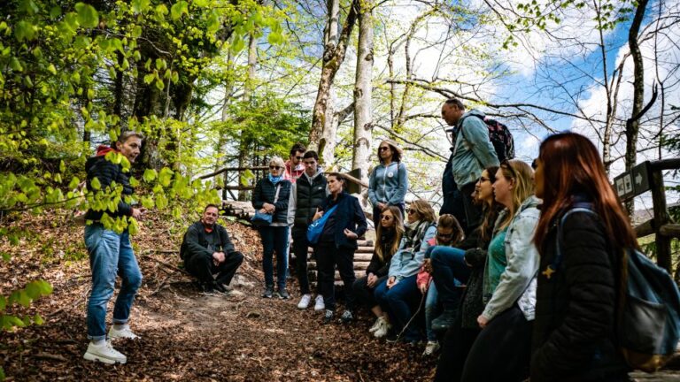 From Split: Plitvice Lakes Guided Tour Tour Overview And Pricing