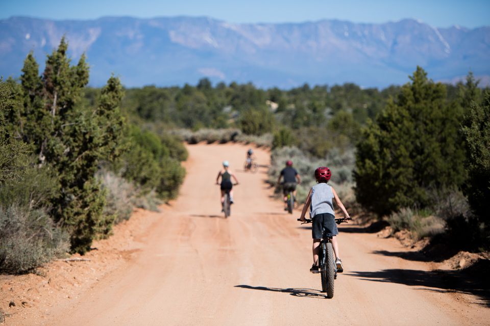 From Springdale: Zion National Park Bike Tour - Taking in Zions Rocky Landscape