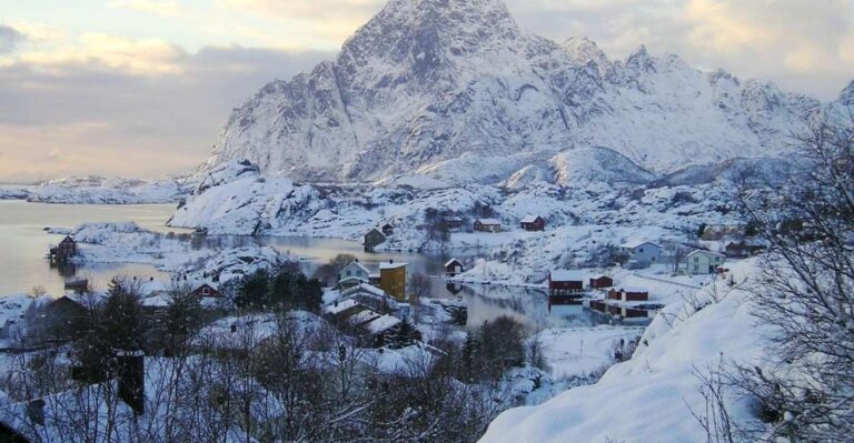 From Svolvaer: Lofoten Islands Tour With Photographer Guide Tour Overview