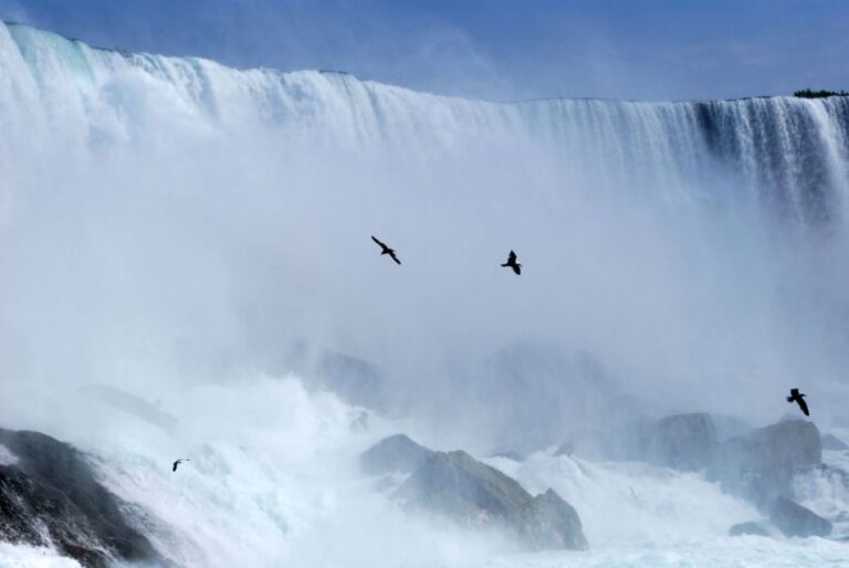 From Toronto: Niagara Falls Day Trip Overview And Pricing