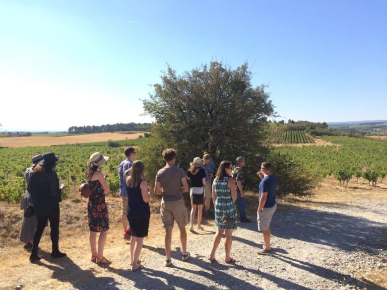 From Toulouse Carcassonne City And Wine Tasting Tour Details