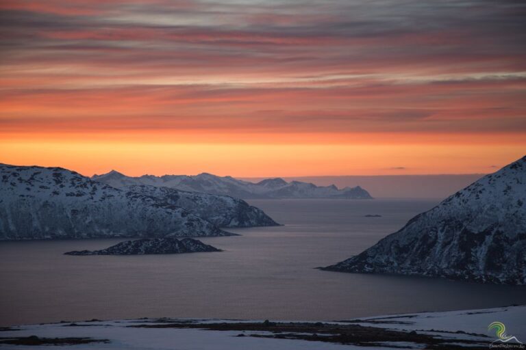 From Tromso: Norwegian Fjords Half Day Tour Exploring Whale Island