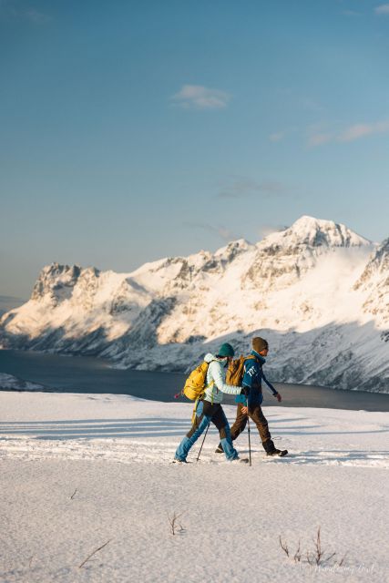 From Tromsø: Snowshoeing Hike With Picnic Lunch And Photos Tour Overview