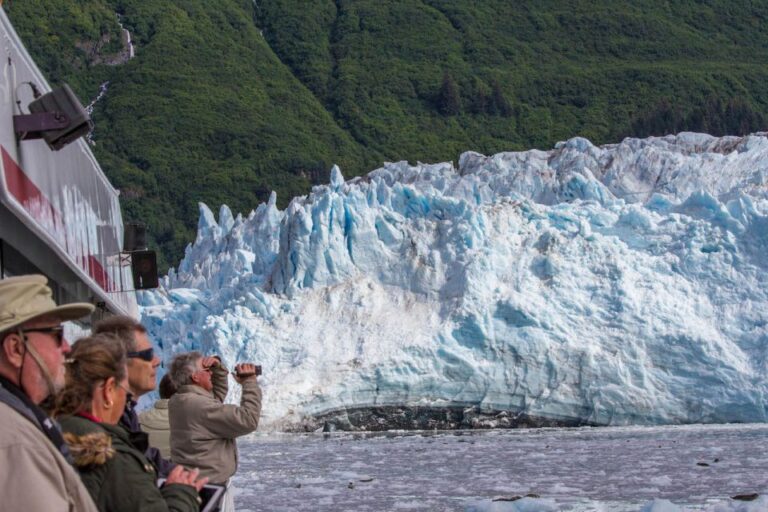 From Valdez: 7.5 Hour Meares Glacier & Wildlife Cruise Overview Of The Cruise