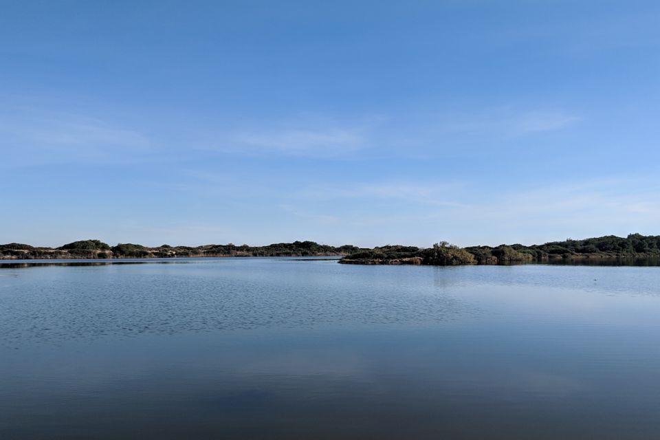 From Valencia: Private Albufera Van Tour With Boat Ride - Tour Overview