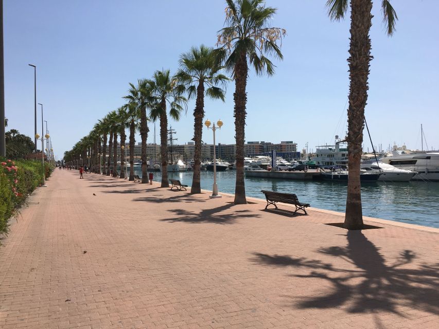 From Valencia: Private Day Trip to Alicante With Local Guide - Panoramic Views From Santa Barbara Castle