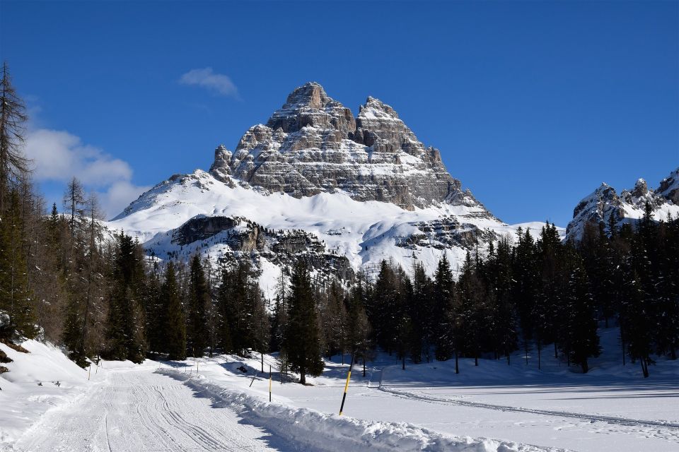 From Venice: Cortina and the Dolomites in One Day - Tour Overview