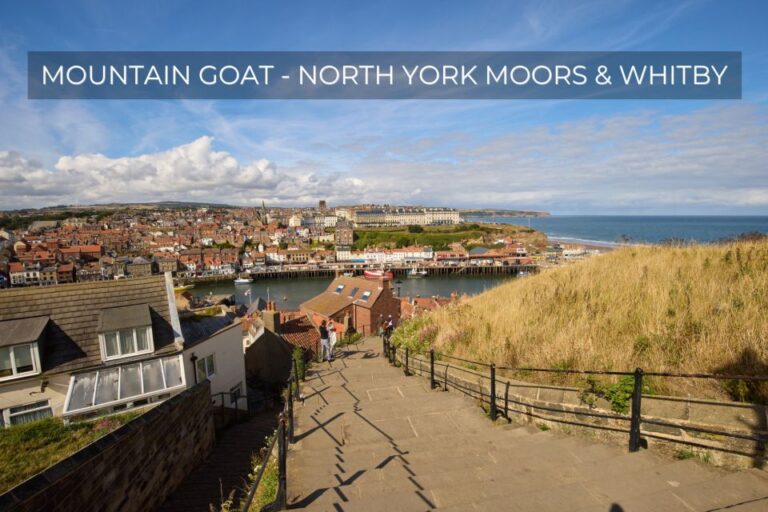 From York: North York Moors And Whitby Guided Tour Tour Duration And Inclusions