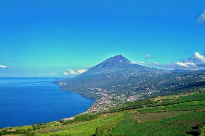 Full Day Guided Tour In Pico Island Tour Highlights