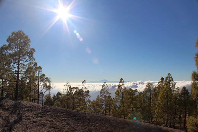 Full Day Hiking Gran Canaria Peaks Of Gran Canaria Overview Of The Tour