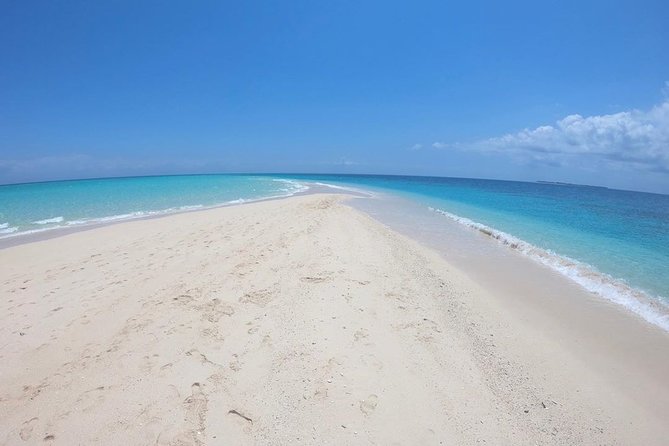 Full-Day Prison Island and Nakupenda Sandbank With Lunch Buffet - Tour Overview